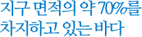 인간물개, 잠수사
